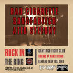 ROCK IN THE RING 14 MARZO SANTIAGO FIGHT CLUB