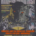 KING OF THE IRON FIST 8 NOVIEMBRE SANTIAGO FIGHT CLUB